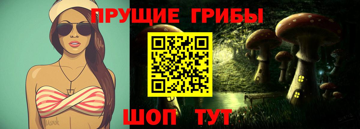 Азов  Псилоцибиновые грибы Psilocybine cubensis  Вход с VPN 